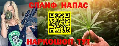 МДПВ Аша