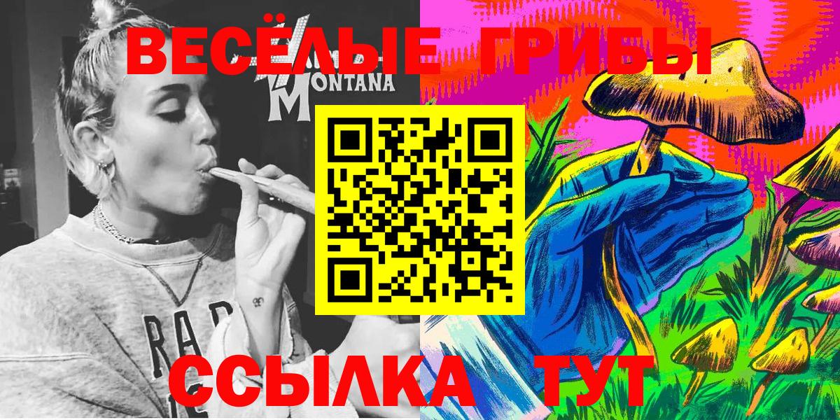 Галлюциногенные грибы GOLDEN TEACHER  Вход с VPN  Псилоцибиновые грибы Psilocybe  Краснокаменск 