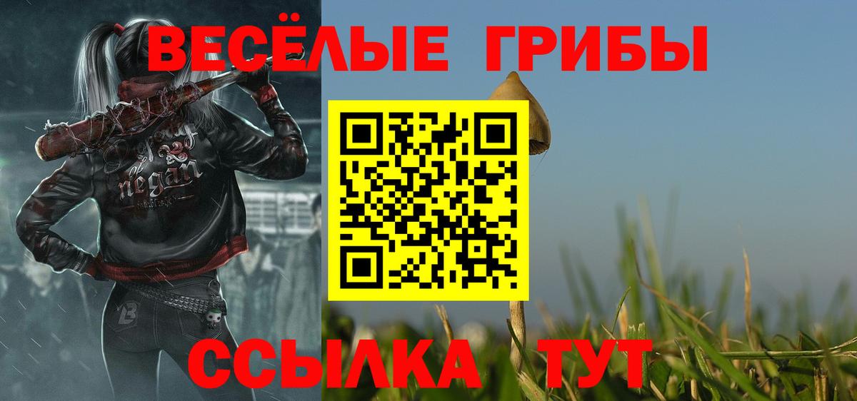 Галлюциногенные грибы GOLDEN TEACHER Краснокаменск